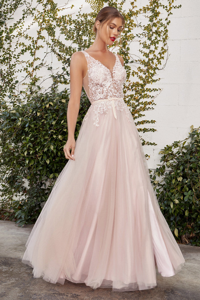 AL Sade Lace Nude Blush Tulle Gown – GlamEdge Dress & Gown