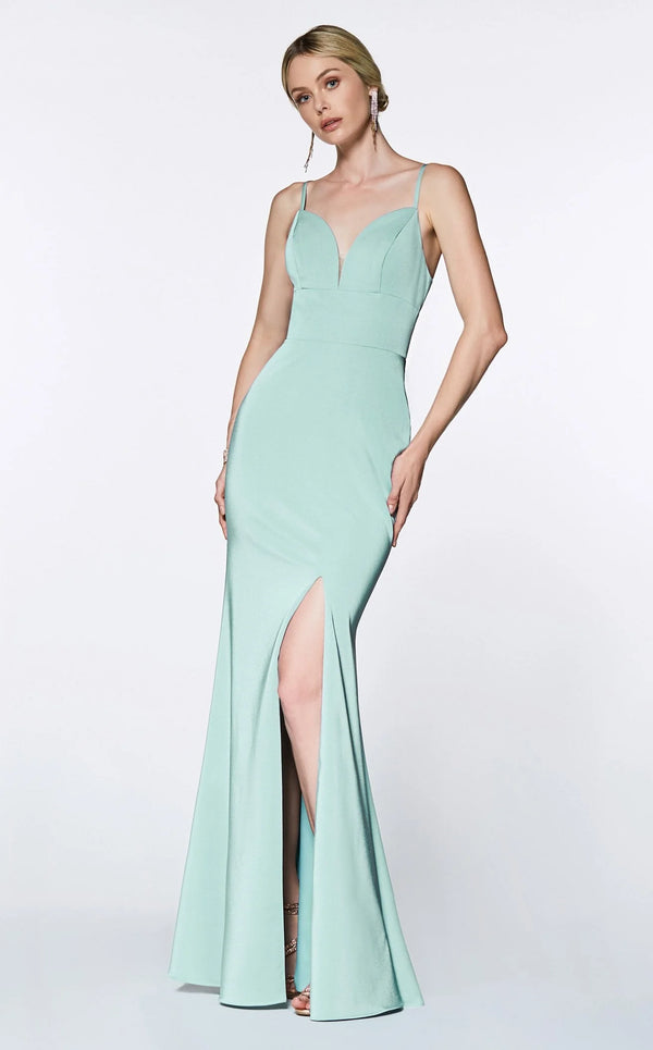 CD Kendall Mint Green Gown