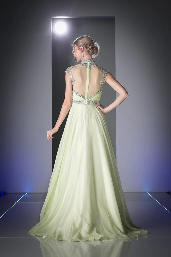 CD Maya Ever Green Gown