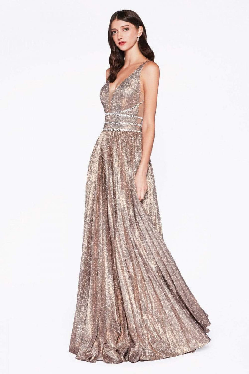 CD Agnes Stardust Copper Silver Gown