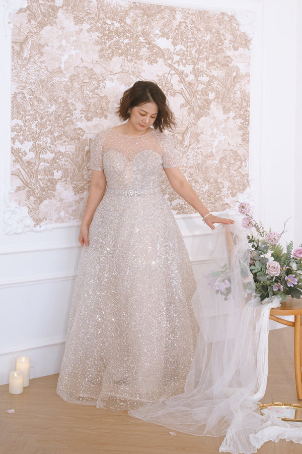 Ophaline Silver Gown