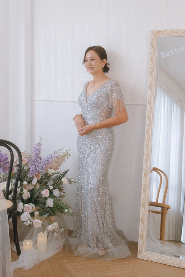 Cleona Silver Gown