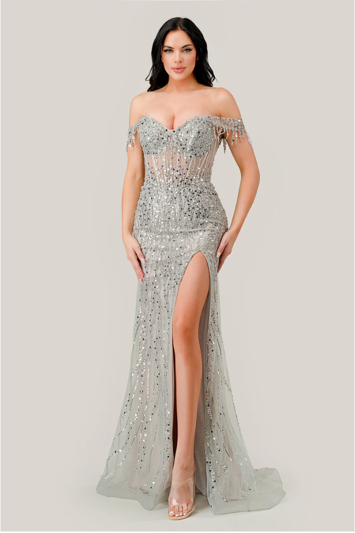 CD Lotte Mermaid Silver Gown