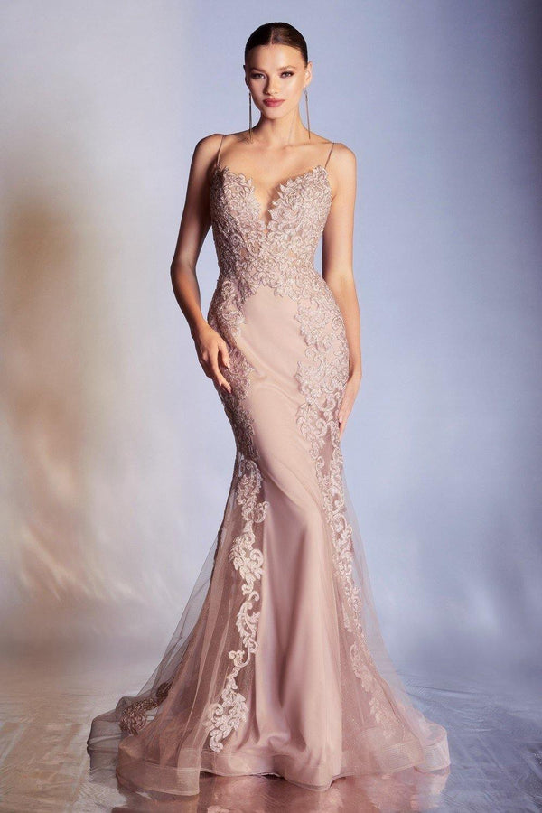 CD Ronia Dusty Rose Gown no