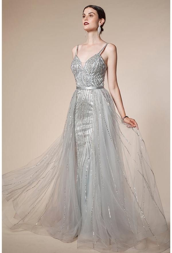 AL Seleny Silver Gown