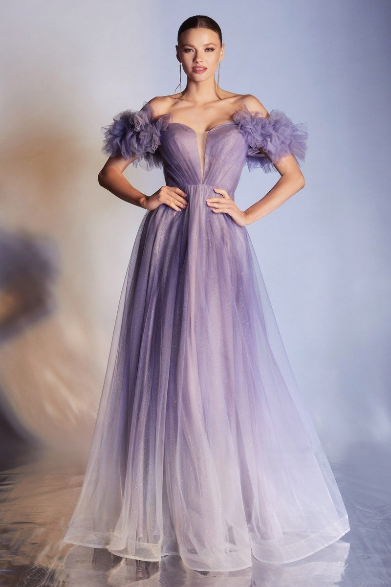 CD Ombre Tulle Gown