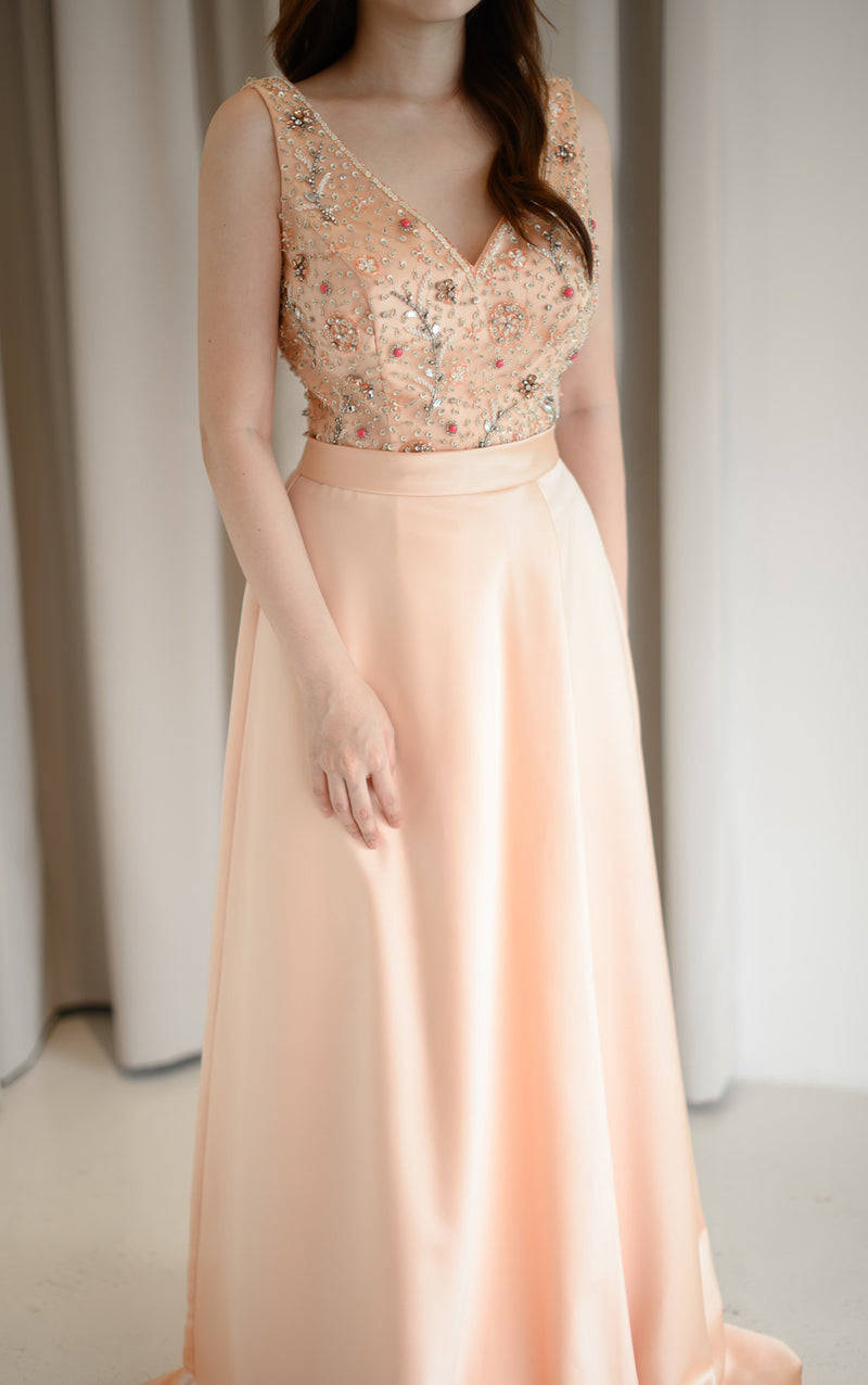 Dion Champagne Sheer Gown