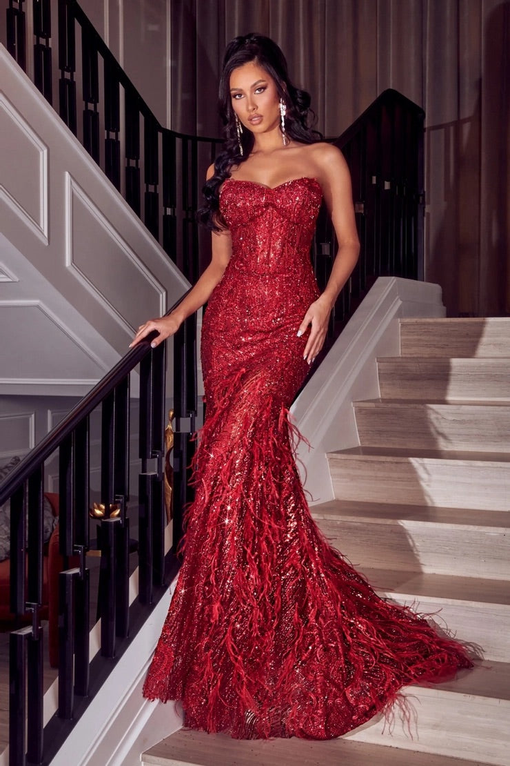 PS Hera Feather Red Gown – GlamEdge Dress & Gown