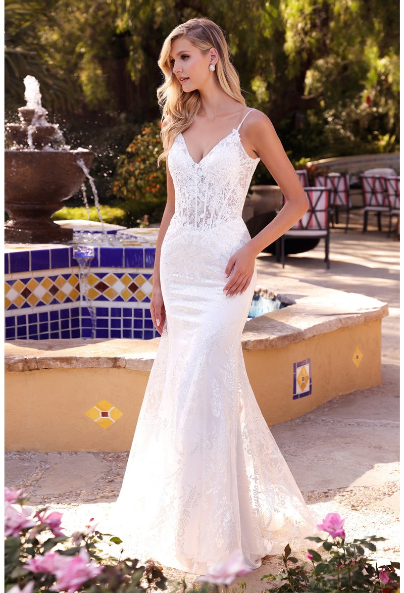 CD Aubree White Lace Mermaid Gown