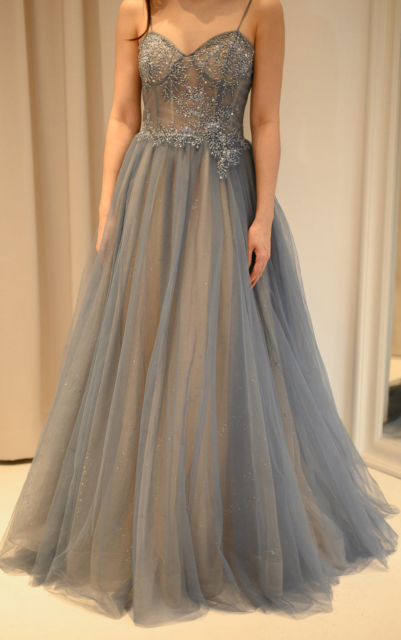 Stardust Aurora Dusty Blue Sheer Gown