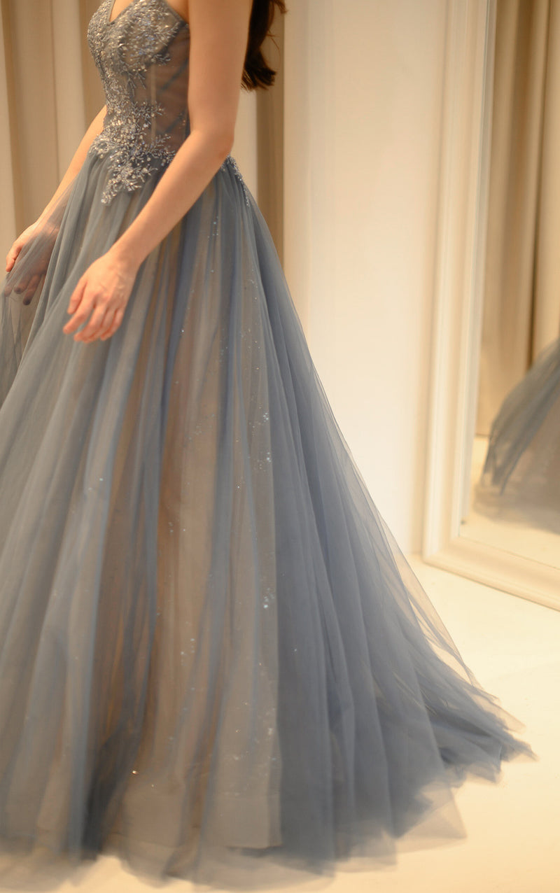 Stardust Aurora Dusty Blue Sheer Gown