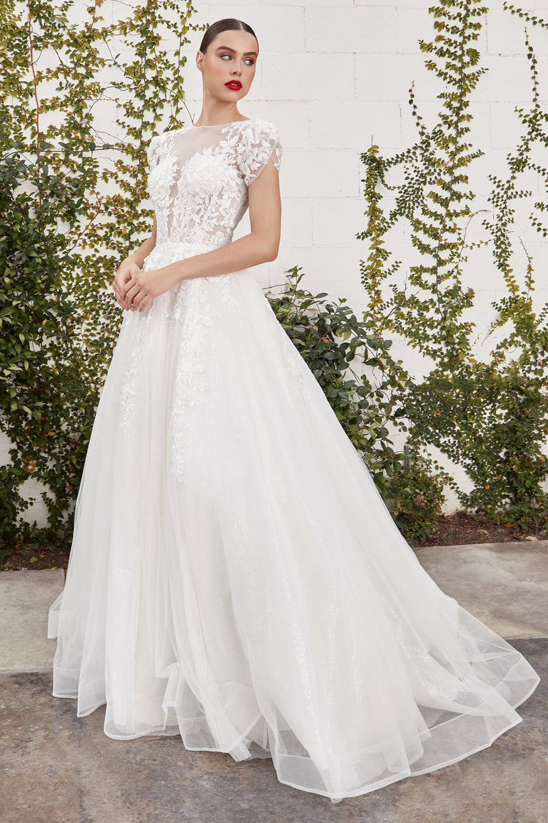 AL Willow Short Sleeve Ball Gown
