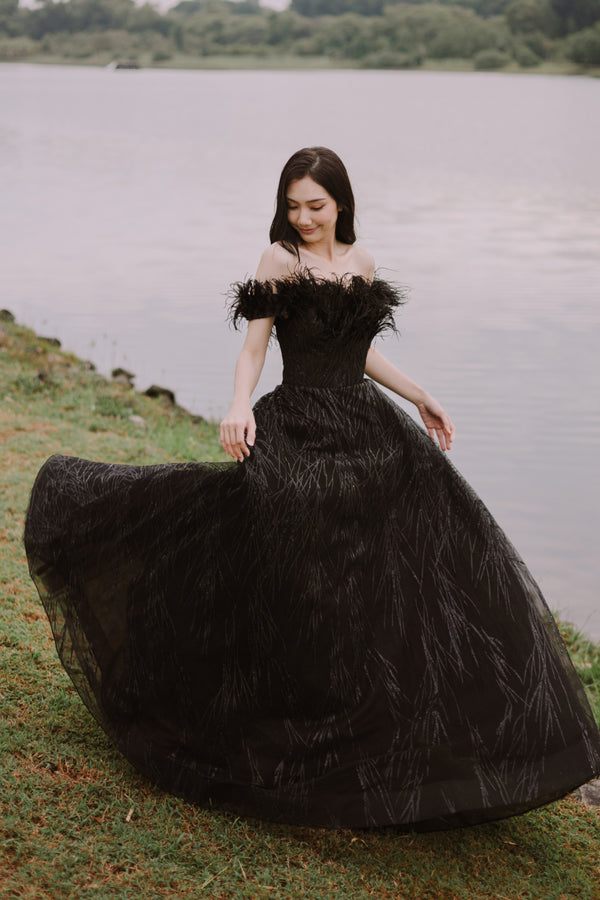 Furry Feather Glitters Black Ballgown