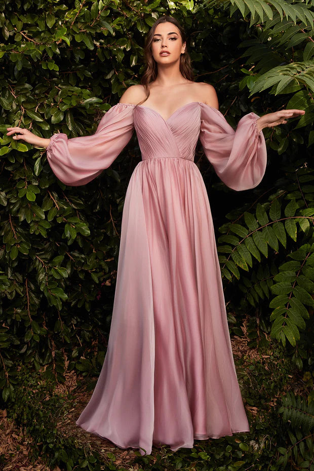 CD Reida Petal Blush Chiffon Gown GlamEdge Dress & Gown CD Reida Petal Blush Chiffon Gown GlamEdge Dress & Gown